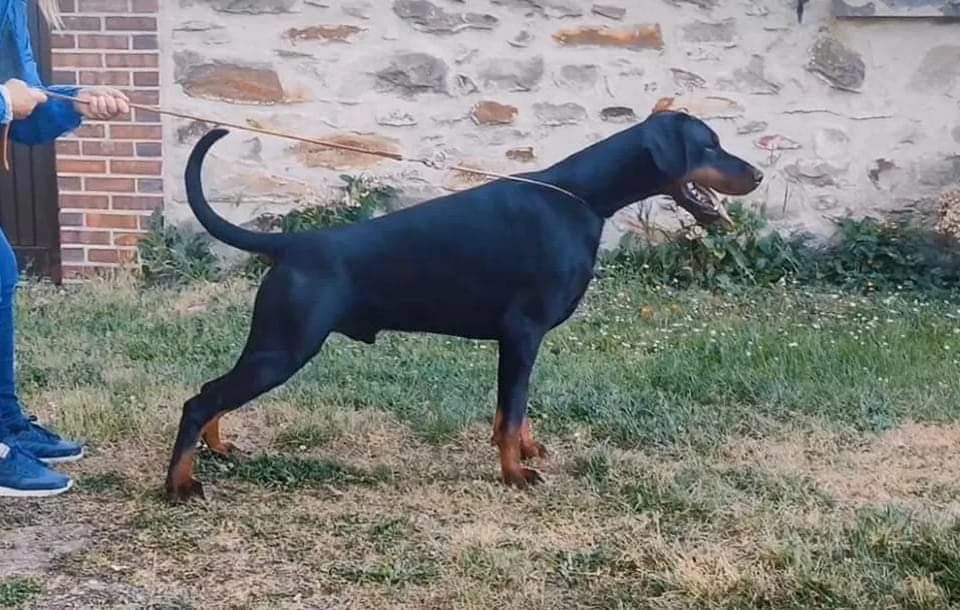 Rio Von Venzoland
